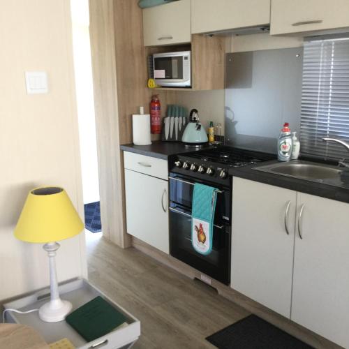 a small kitchen with a stove and a sink at Poppy Lodge in Boat of Garten