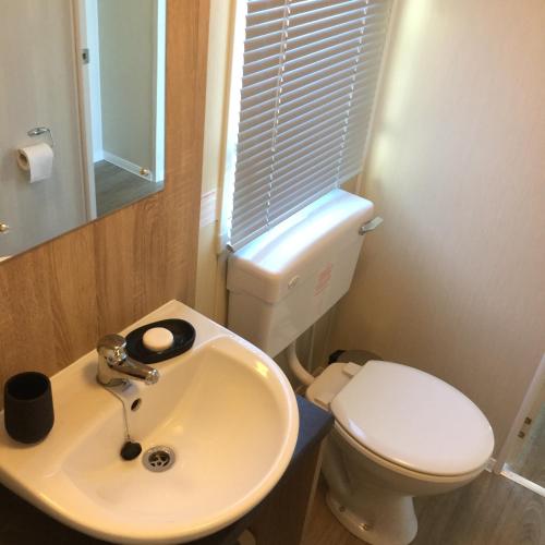 a bathroom with a white toilet and a sink at Poppy Lodge in Boat of Garten