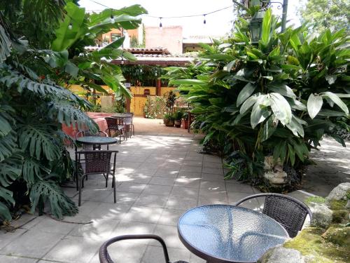 Giardino di Hotel Las Farolas