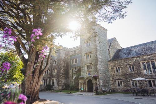 an old stone building with a tree in front of it at Boringdon Hall Hotel and Spa in Plymouth