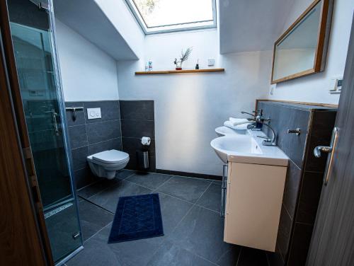 W łazience znajduje się toaleta, umywalka i prysznic. w obiekcie Natürlich Kirchner Haus Katrin w mieście Eisenach
