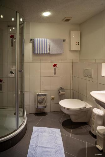 a bathroom with a shower and a toilet and a sink at Hotel Restaurant Wolfsschlucht GmbH in Bad Münstereifel