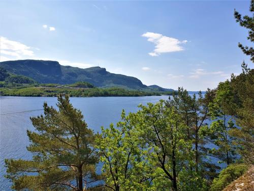 a view of a lake with trees in the foreground at NorGlamp Glamping in Hjelmeland