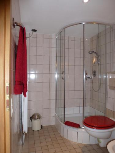 a bathroom with a shower with a toilet and a tub at Pfälzer Landhotel Heinrich in Bad Dürkheim