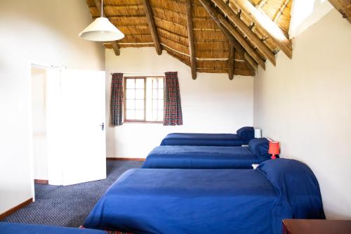 a room with four beds with blue sheets at Graceland Farm in Underberg
