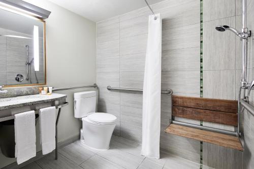 uma casa de banho com um WC e um lavatório em The Jewel Hotel, New York em Nova York