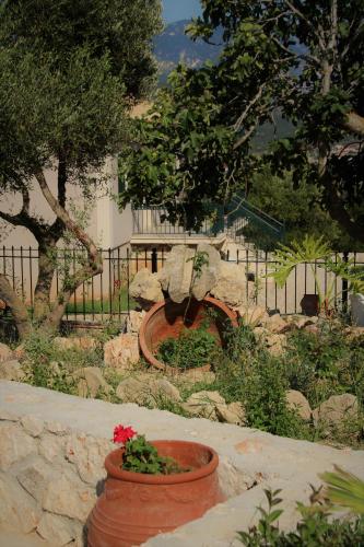 Gallery image of Nikoleta's Studios in Argostoli