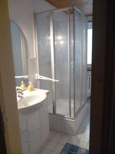 a bathroom with a shower and a sink at Pension Harzbaude Susanne - Garni in Rübeland