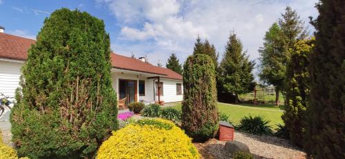 una casa con árboles frente a un patio en Karsibór DE en Świnoujście