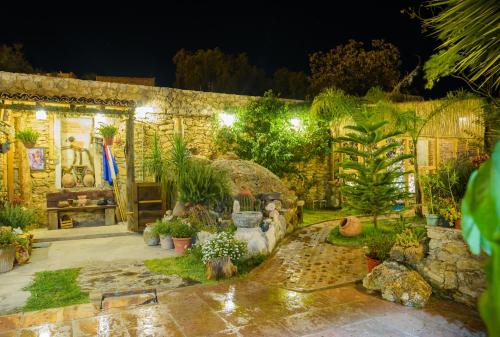 a garden at night with plants and lights at Hotel Colibri in Mineral de Pozos