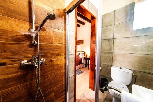 a bathroom with a shower and a toilet in a room at Karydhia Cottage in Pano Arodes