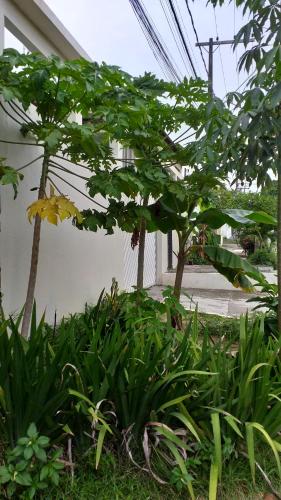 Arapiri Guest House – Photos 4