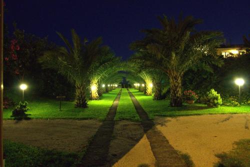 a row of palm trees at night with lights at Torre Archirafi Resort in Riposto
