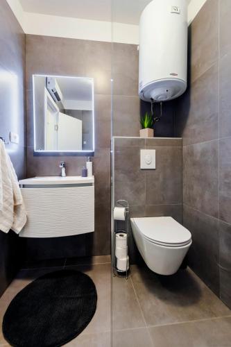 a bathroom with a toilet and a sink and a mirror at Deluxe Apartments A&A in Rovinj