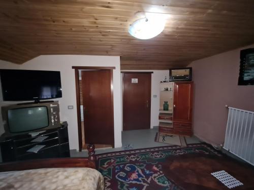 een woonkamer met een tv en een bank bij Sofra Kolonjare Agroturizem in Ersekë