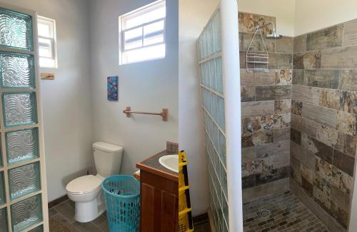 a bathroom with a toilet and a shower at Lily Pad II in Caye Caulker