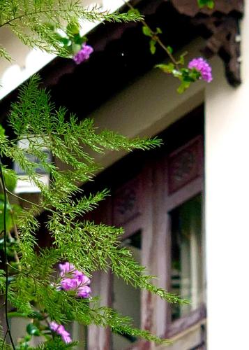 Κήπος έξω από το Long Life Riverside Hotel