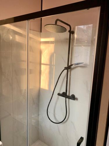 une douche avec pommeau de douche dans une salle de bain dans l'établissement La maison d'Ale, à Sens