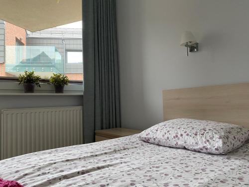 1 dormitorio con cama con almohada y ventana en Apartament w Pucku, en Puck