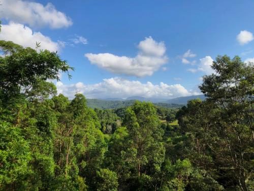 a view of a forest with mountains in the background at THE GOLDEN RETREAT POOL HOUSE in Uki