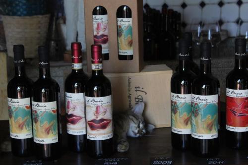 a group of bottles of wine next to a cat at Agriturismo & Winery Il Bacio in Tavarnelle in Val di Pesa