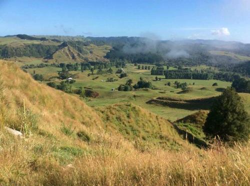 een grasheuvel met uitzicht op een veld bij Rural Country Retreat in New Plymouth