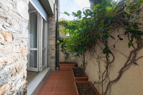 a courtyard with potted plants on the side of a building at Residence Sole Mare Alaxi Hotels in Alassio