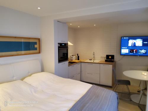 ein Schlafzimmer mit einem Bett und einem Waschbecken sowie einem TV in der Unterkunft Centrum Apartment in Akureyri