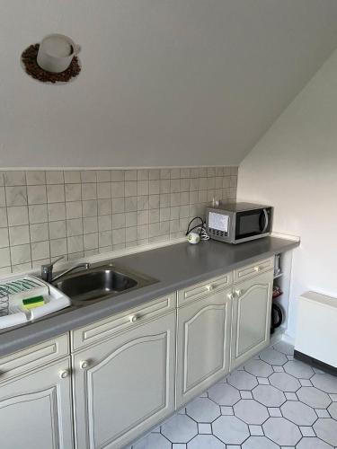 a kitchen with a sink and a microwave at Hof Beuck in Travenhorst