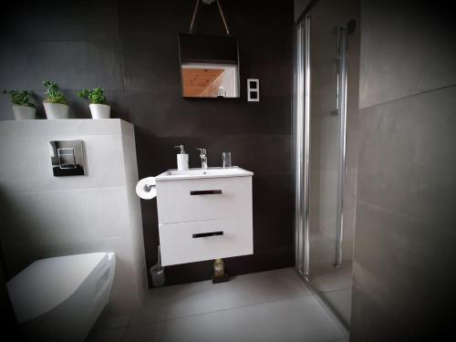 a bathroom with a white sink and a shower at Dworek Zakopane in Zakopane