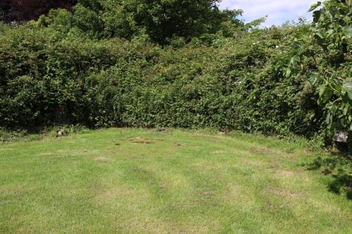 a grassy field next to a hedge and trees at South Downs Eco Lodge & Camping in East Meon