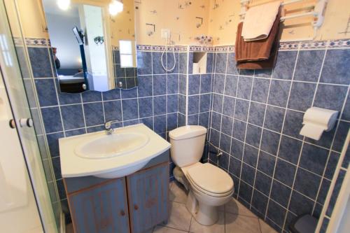 a blue tiled bathroom with a toilet and a sink at Domaine du Port Sainte Marie in Maizières-lès-Vic