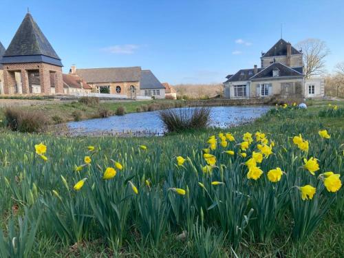 a field of yellow flowers in front of a pond at Domaine de la Vaudouriere in Lunay