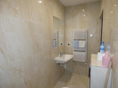 a bathroom with a sink and a mirror and a shower at Apartament Bielsko in Bielsko-Biała