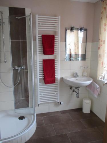 a bathroom with a shower and a sink at Haus Spiegel in Hilders