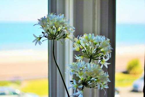 a vase filled with white flowers in a window at Four Saints Brig Y Don Hotel in Llandudno