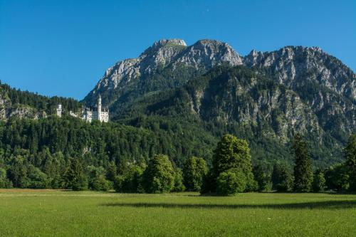 a green field with a castle in the mountains at Hotel Alpspitz B&B in Grainau