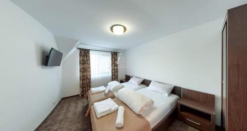 pokój hotelowy z łóżkiem i telewizorem w obiekcie Pensiunea Magura Ocnei w mieście Târgu Ocna