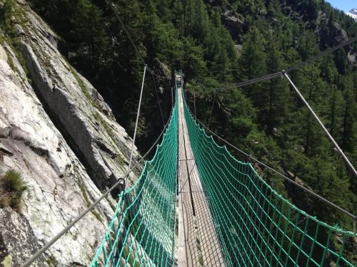 a suspension bridge on a mountain with trees at Aristella in Saas-Almagell