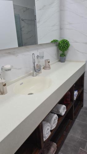a bathroom counter with a sink and a mirror at דירה מפנקת מעל הכנרת in Migdal