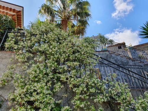Κήπος έξω από το Borgo San Francesco