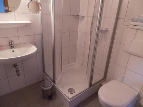 a bathroom with a shower and a toilet and a sink at Hotel & Restaurant Hildebrandt in Breitenrode