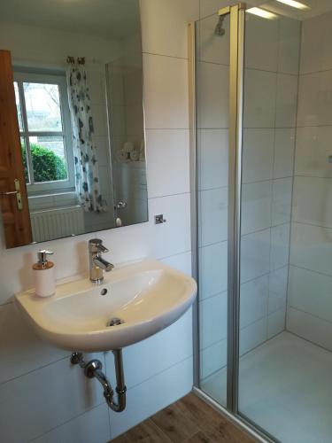 a bathroom with a sink and a shower at Ferienhof Trapp in Ellringen
