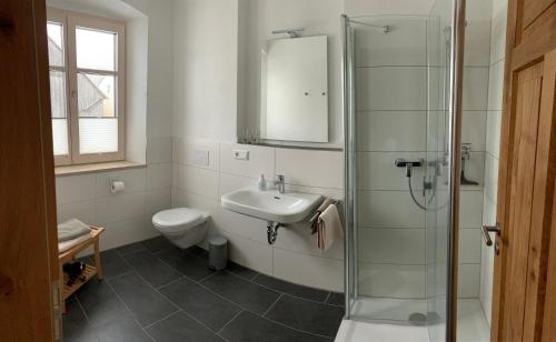 a bathroom with a shower and a sink and a toilet at Gasthaus Zum Himmelreich in Riedenburg