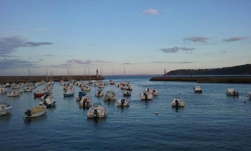 un grupo de barcos flotando en el agua en Studio Castel Binic, en Pordic