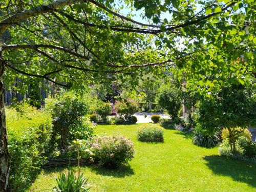 Κήπος έξω από το Apartmani Milić