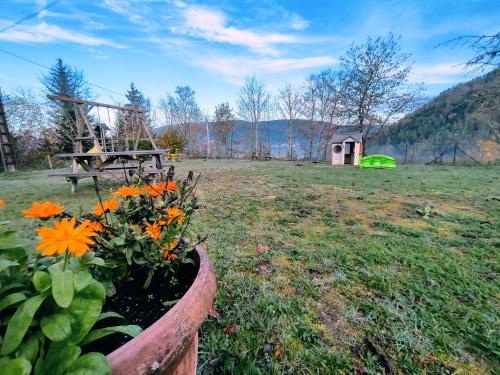 un jardín con una mesa y flores en un campo en A l'Orée du Bois en Dommartin-lès-Remiremont