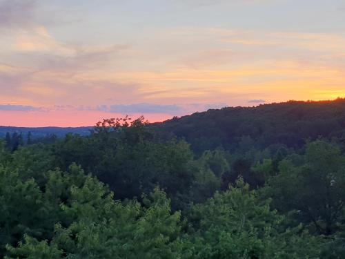 an aerial view of a forest of trees at sunset at Auberge de la garenne in Saint-Rémy-lʼHonoré