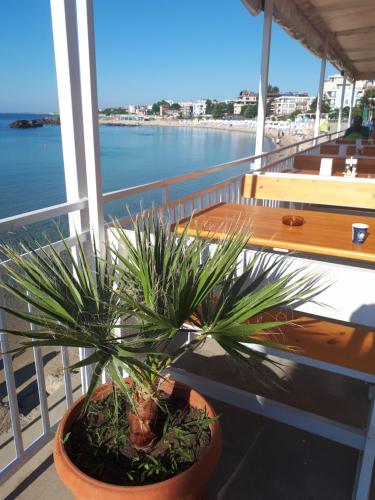 Gallery image of Hotel Evridika in Nesebar