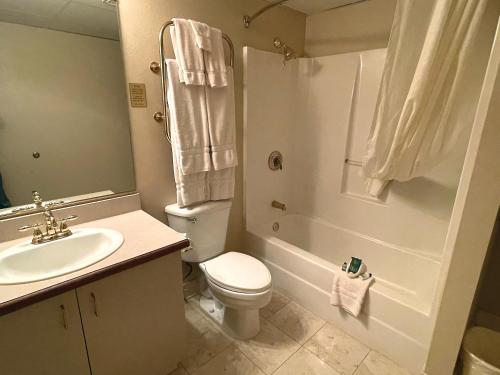 a bathroom with a toilet and a sink and a shower at Celebrity Boutique Hotel in Deadwood